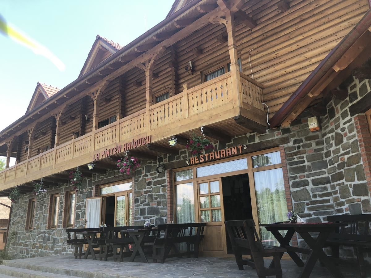 Гостевой дом Pensiune păstrăvărie La pintea haiducu Deseşti-29